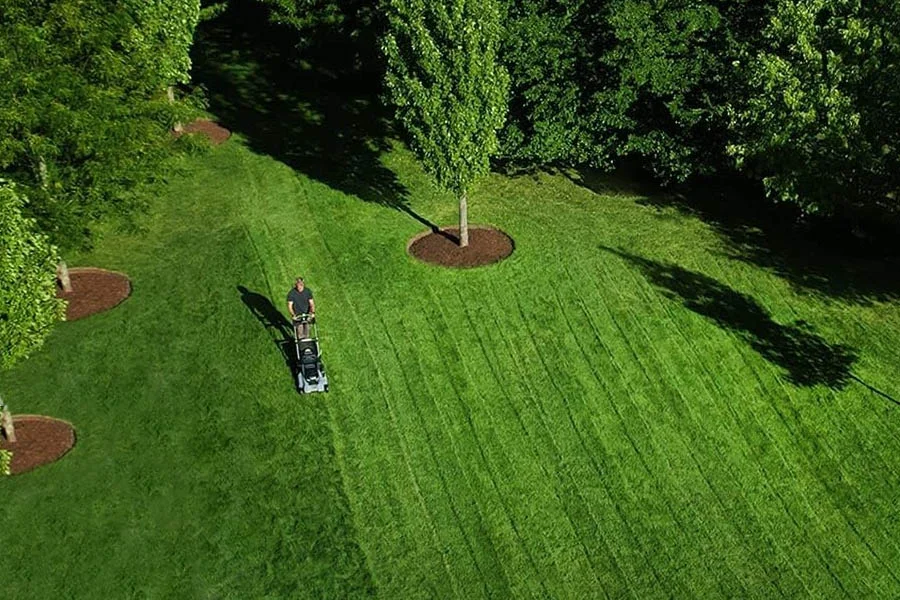 self-propelled electric lawn mower with battery and charger